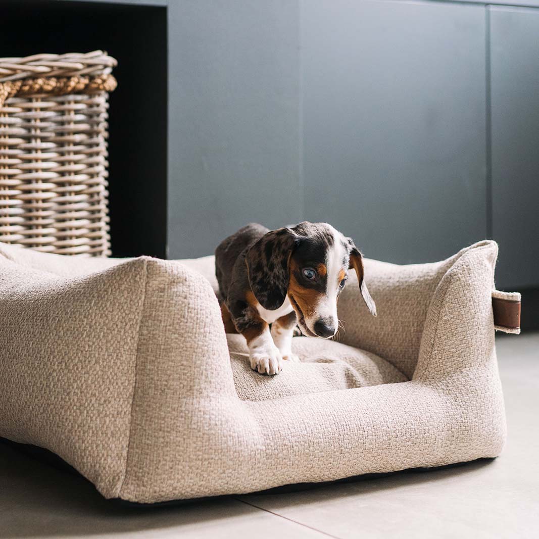 Dozzy™ | Luxe Hondenmand