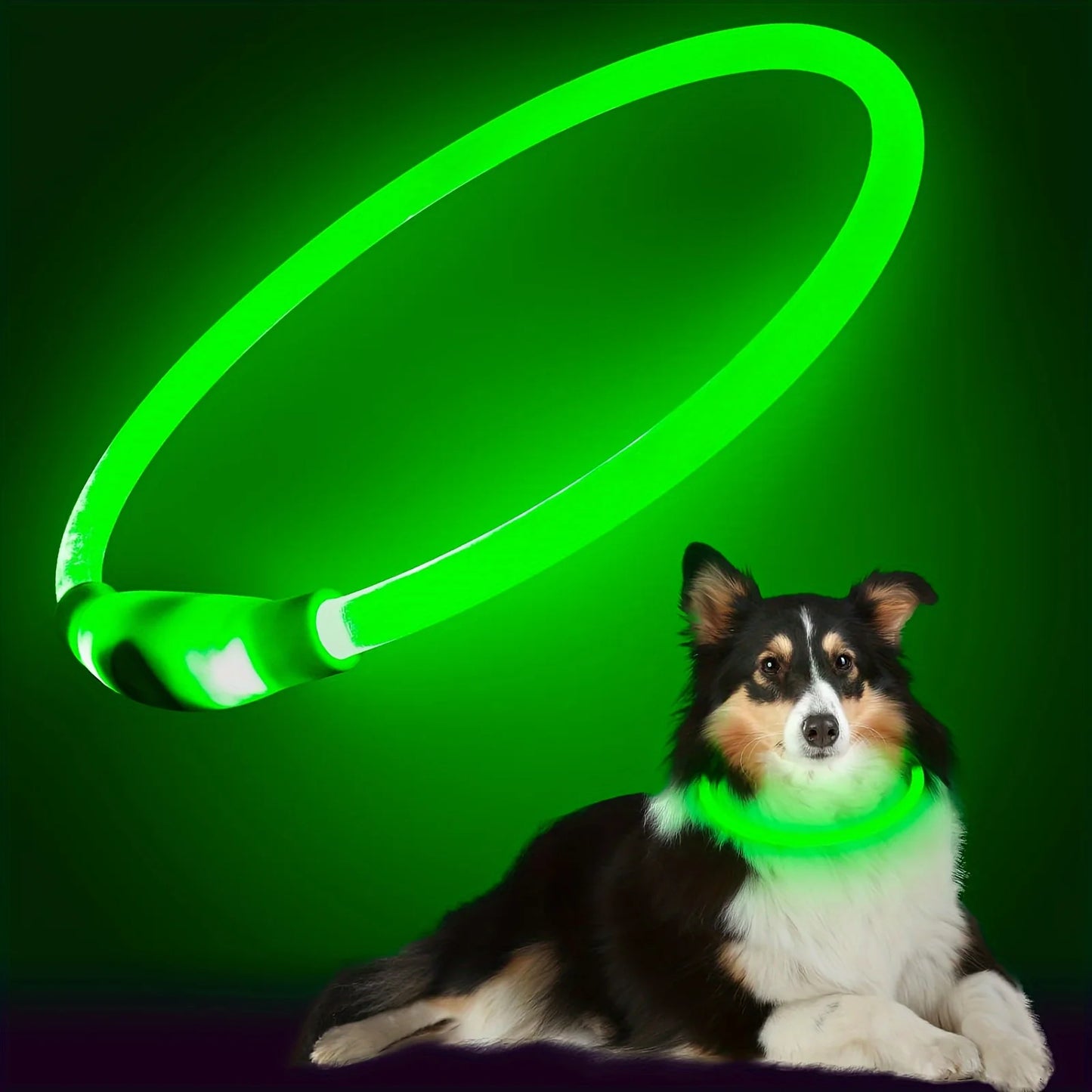 GlowPup™ | LED Halsband (1+1 gratis)