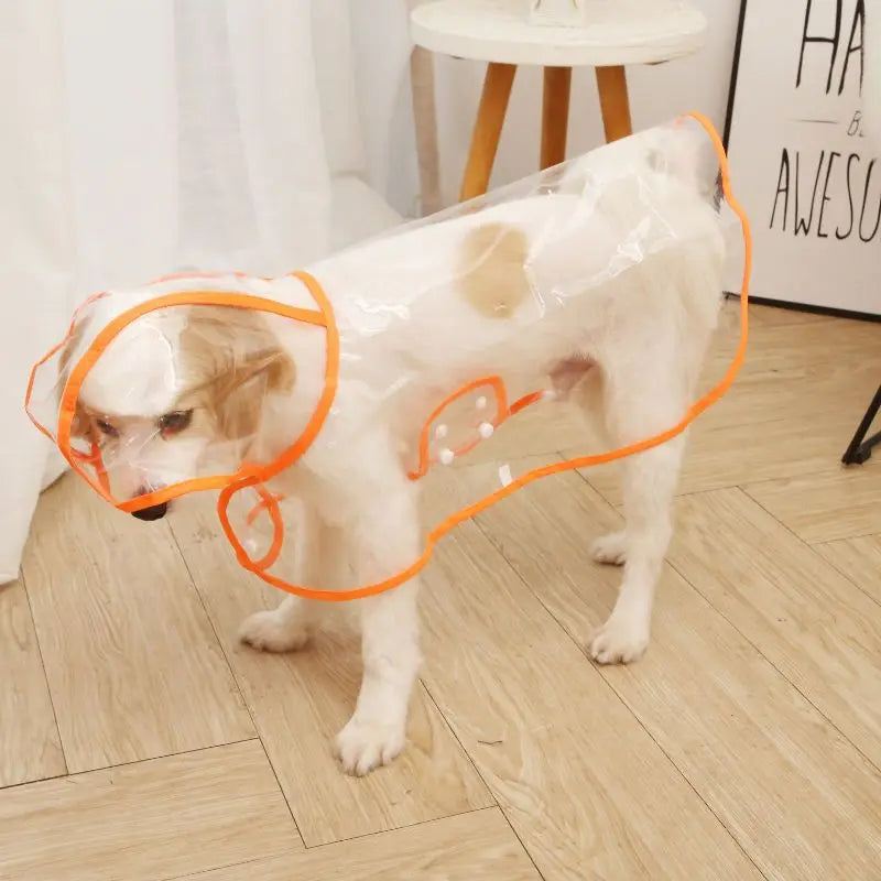 DryWalk™ | Regenjas voor Honden (1+1 gratis)