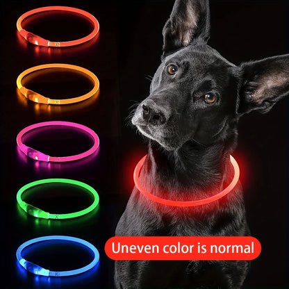 GlowPup™ | LED Halsband (1+1 gratis)