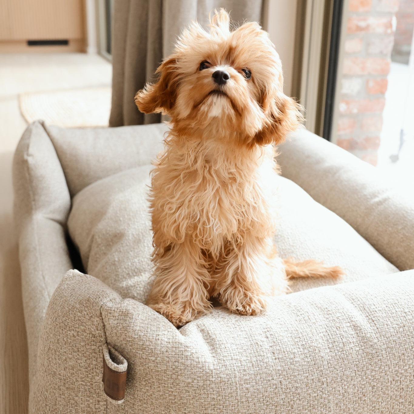 Dozzy™ | Luxe Hondenmand